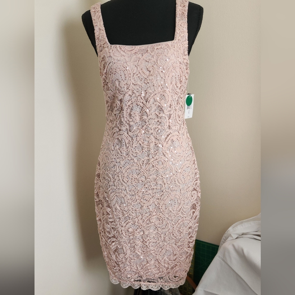 Elegant Lace Pink Dress